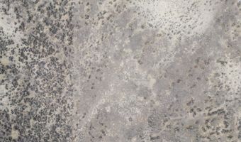 10739 Gadwall Ave, Deeth, NV 89801