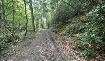 Lot 2 Calvin Cove 2, Almond, NC 28702