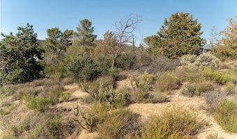 61826 Spanish Dagger Ln, Anza, CA 92539