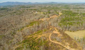 170 Sperin Cabinet Rd, Ball Ground, GA 30107