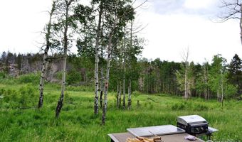 1256 Basking Dog Rd, Bellvue, CO 80512