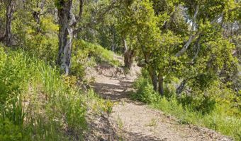 280 Petery Ln, Aptos, CA 95003