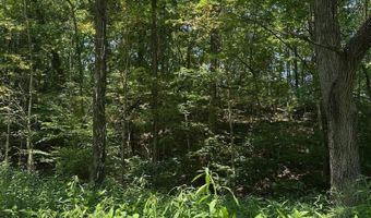 Bryant Hollow Road, Alderson, WV 24910