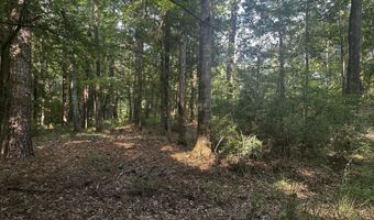 137 Shorter Rd, Braxton, MS 39044