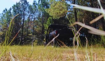 0 CR 320, Big Creek, MS 38914