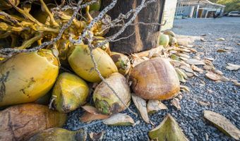 938 S Kihei Rd 301, Kihei, HI 96753