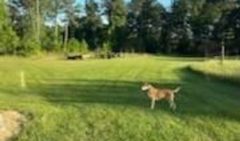 632 FM 1701, Annona, TX 75550