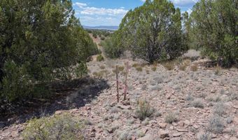 14 XX W BISON HUNT No Address Way 104, Chino Valley, AZ 86323