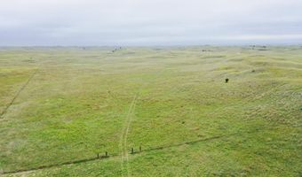 755 90 +/- Acres, Arnold, NE 69120