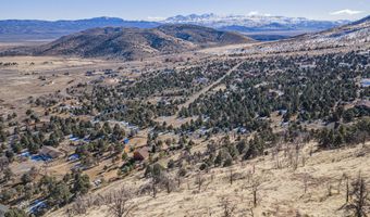 3221 Reese Ln, Gardnerville, NV 89410