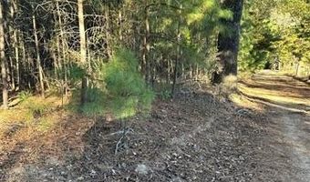 421041 E 1945 Ln, Antlers, OK 74523