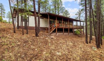 29 N 2058, Alpine, AZ 85920