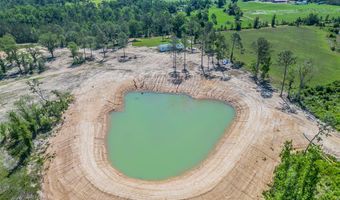 Chad Lake Rd, Alma, GA 31510