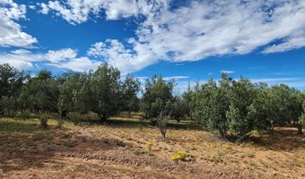 912 Westwood Rnch, Ash Fork, AZ 86320