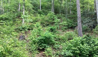 387 STEVE BROWN ROAD Rd, Bean Station, TN 37708