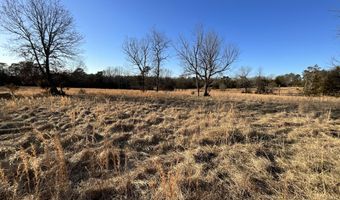 000 County Road 413, Alton, MO 65606