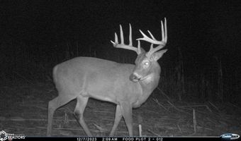 189 Th St, Albia, IA 52531