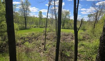 15252 27 Mile Rd, Albion, MI 49224
