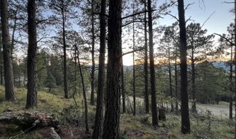 141 Afv N Back Basin Rd, Angel Fire, NM 87710