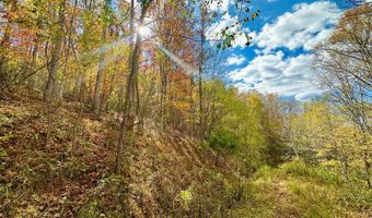 595 Rock Creek Ridge Rd, Bakersville, NC 28705