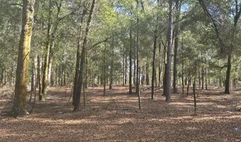 1320 NW 22nd Ct, Bell, FL 32619