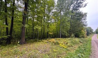 34 Xxx 80ac 298th St, Aitkin, MN 56431