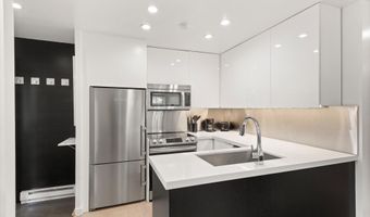 805 E Cooper Ave 2, Aspen, CO 81611