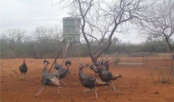 CR 145 & CR 173, Alice, TX 78332