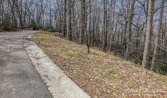 TBD Lot # 46 Woodlily Drive, Banner Elk, NC 28604