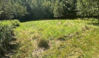 360 Ives Hill Rd, Afton, NY 13730