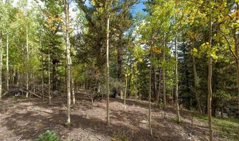 452 QUARTZVILLE Rd, Alma, CO 80420