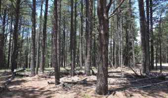 Lot 1 Block 2 Columbine Terrace, Angel Fire, NM 87710