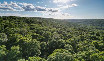 Whiskey Creek Lane, Batesville, AR 72501