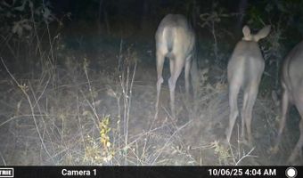 N80 Helt Rd, Antlers, OK 74525