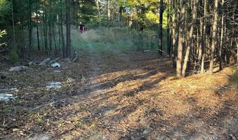 421041 E 1945 Ln, Antlers, OK 74523