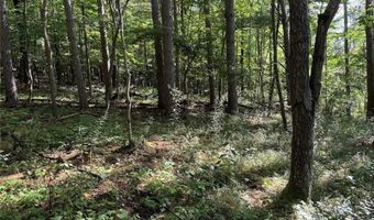Lynch Road, Alfred, NY 14806