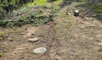 Anderson Tracts Road, Anaconda, MT 59711