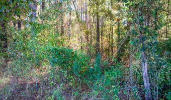 6102 Newton Rd, Albany, GA 31721