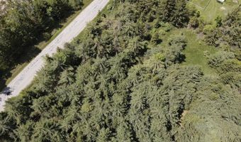 Lot 1 E West Resort Road, Alanson, MI 49706
