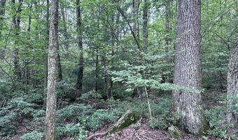 Upper Cherrytown Road, Accord, NY 12404