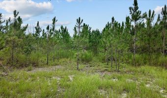 3670 25th Cir, Bell, FL 32619