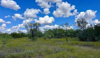 Tbd TBA County Road 100, Abilene, TX 79601