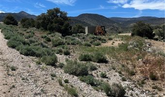 1480 WILD HORSE Run, Dyer, NV 89010