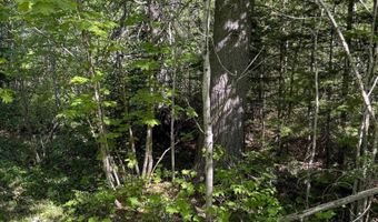 Gratiot River Road lot A, Allouez, MI 49805