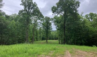 213 Wynn Fry, Big Sandy, TN 38221