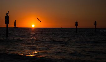 1216 S MISSOURI Ave 220, Clearwater, FL 33756