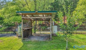 1228 Matt Morrow Rd, Arab, AL 35016