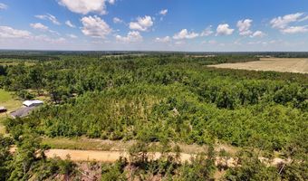 Lot # 3 - 6.2+/- Perry Horton, Adrian, GA 31002