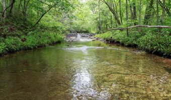 7064 County Road 14-223, Ava, MO 65608