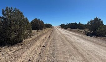 30 CR 8051 Rd, Concho, AZ 85924
